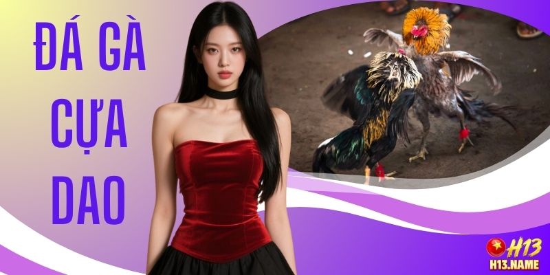 Đá Gà Cựa Dao Kịch Tính Cùng 3 Giống Chiến Kê Hàng Đầu 1 Đá Gà Cựa Dao Kịch Tính Cùng 3 Giống Chiến Kê Hàng Đầu
