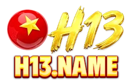 H13